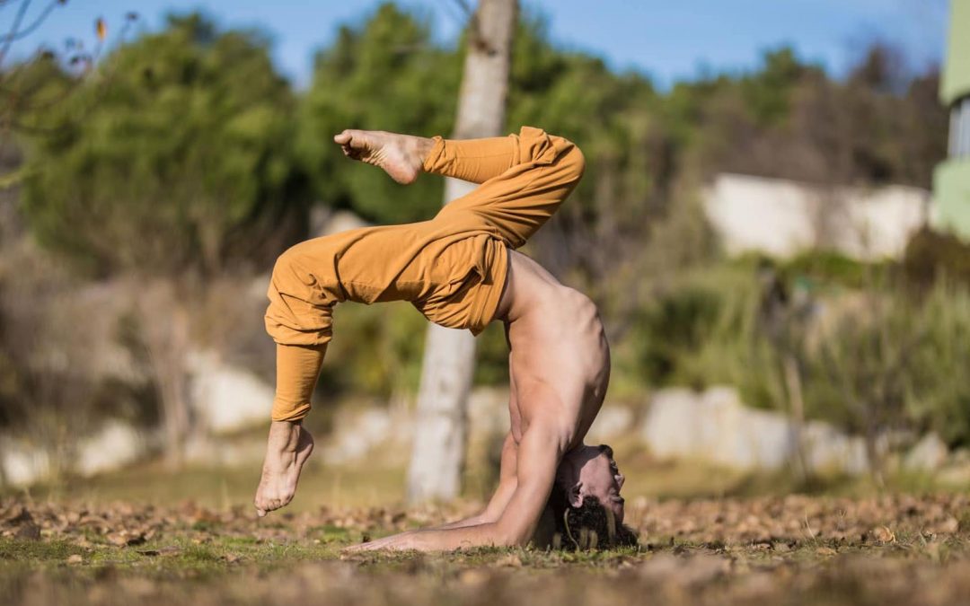 Es el pájaro madrugador el que caza el gusano – The early bird catches the worm