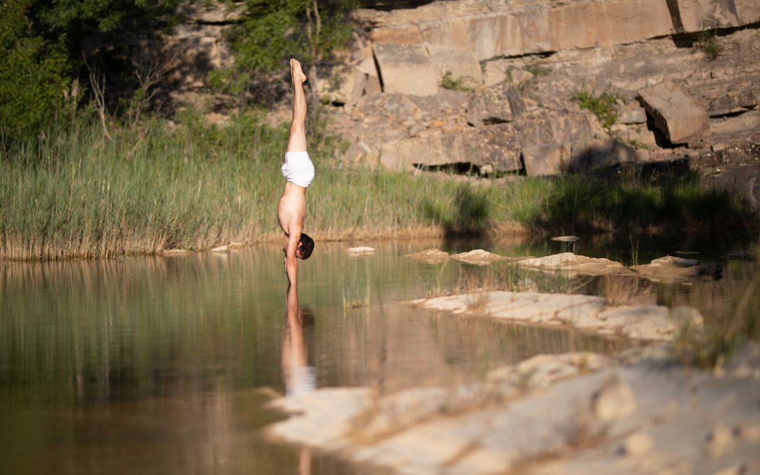 Carta de la Luna Llena