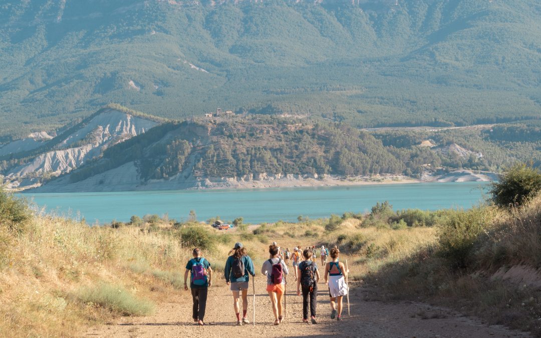 El poder de la Luna Nueva