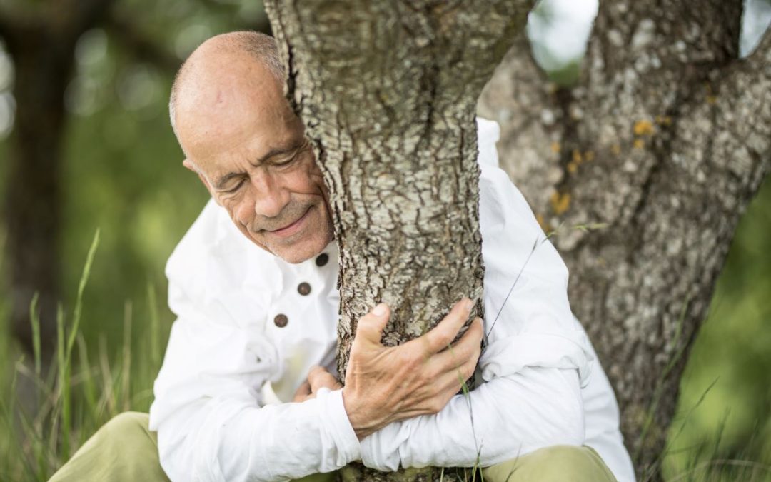 El poder de la Luna Nueva